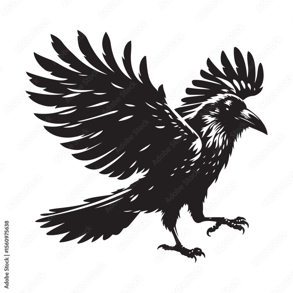 black and white rooster black and white rooster