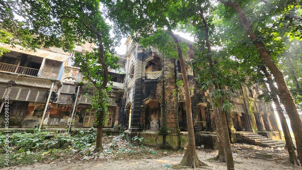 abounded house in the forest abounded house in the forest
