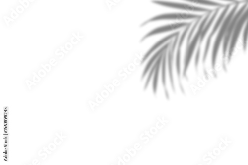Natural leaf shadow in the corner on transparent background. Realistic blurred shadow of plant leaf. Tropical tree branch shadow isolated on white. Summer decoration design elements. Mockup. clipart