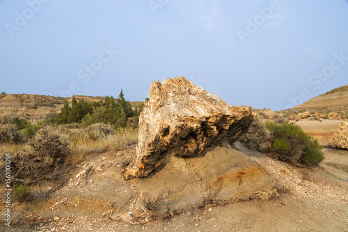 Photos Petrified Forest at Theodore Roosevelt National Park, North Dakota