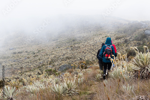 People walking into a trekking path in middle of paramo ecosystem in south america
