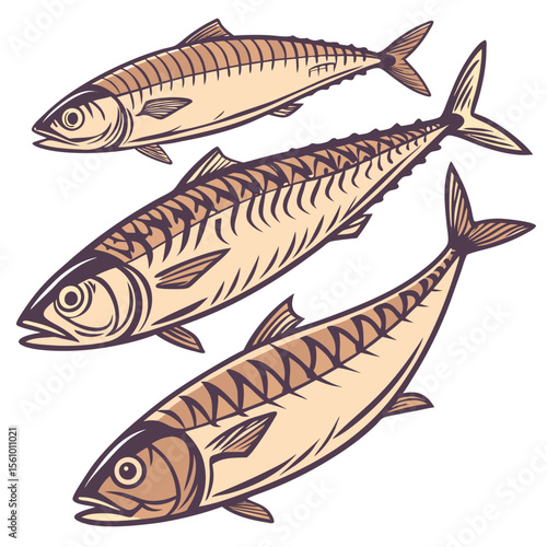Three smoked mackerel fish with wavy patterns smoked fish seafood