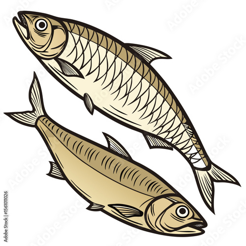 Two golden fish with black outlines on white seafood food