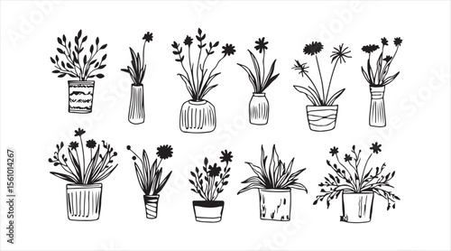 Hand-drawn outline sketch of flowers in pots and vases. Decorative sketch of a potted house plant. Isolated vector illustration.