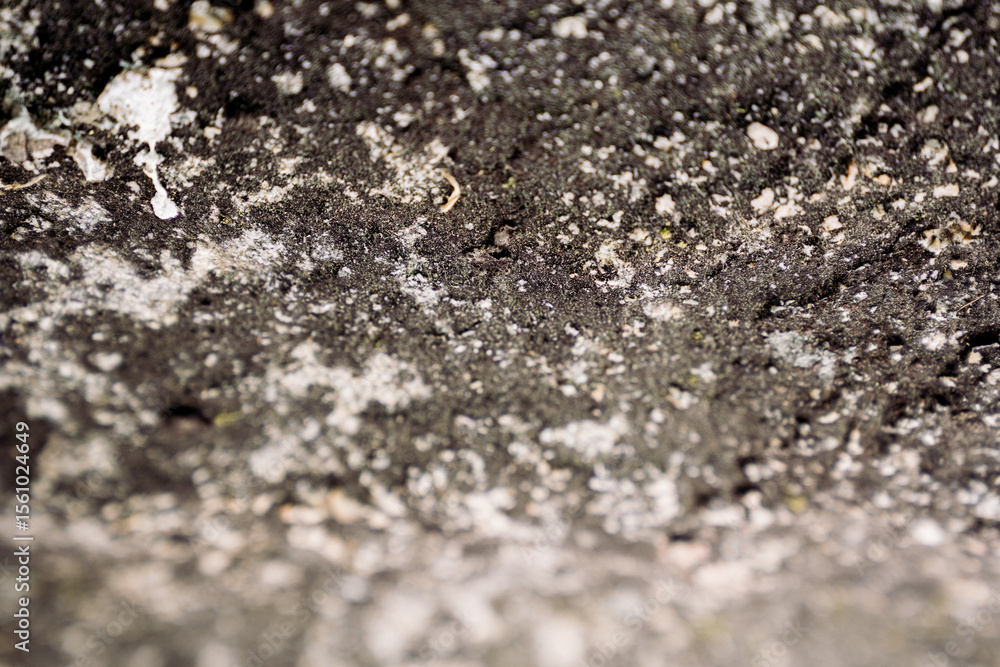 Rock Aphanitic Texture Rock Aphanitic Texture