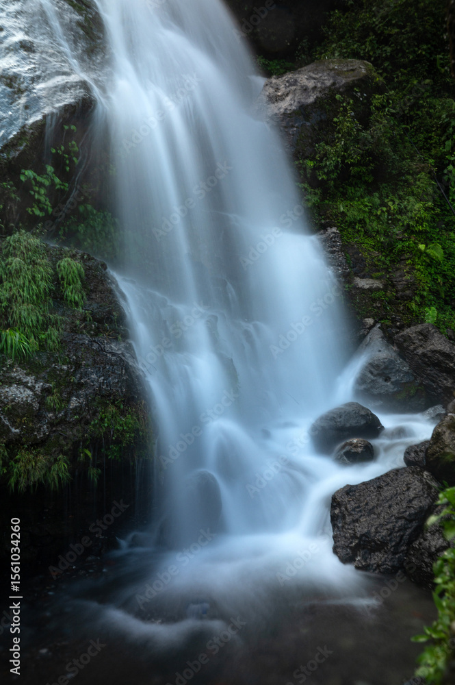 Obraz premium waterfall in the forest