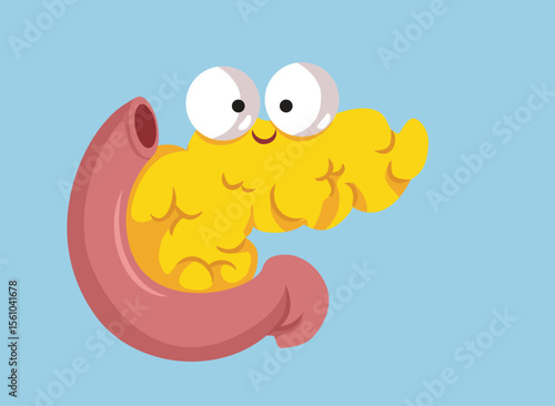 Happy Pancreas Organ Vector Cartoon Illustration Design. vital gland located in the abdomen
