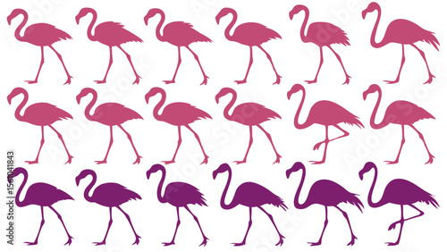 Pattern of pink and purple flamingos silhouettes on white background