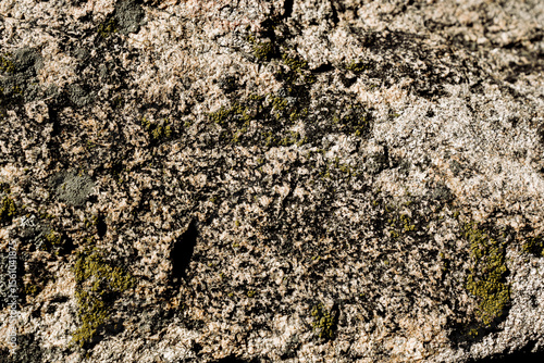 texture of a stone
