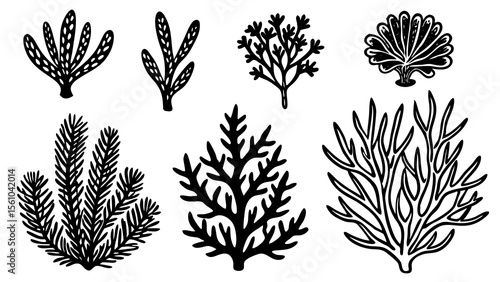 Collection of seven stylized black and white hand drawn coral and plant elements