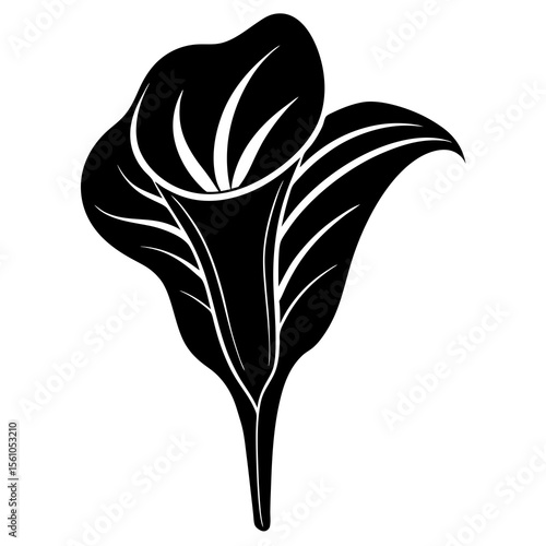 Wallpaper Mural Calla lily vector silhouette illustration isolated on white background Torontodigital.ca