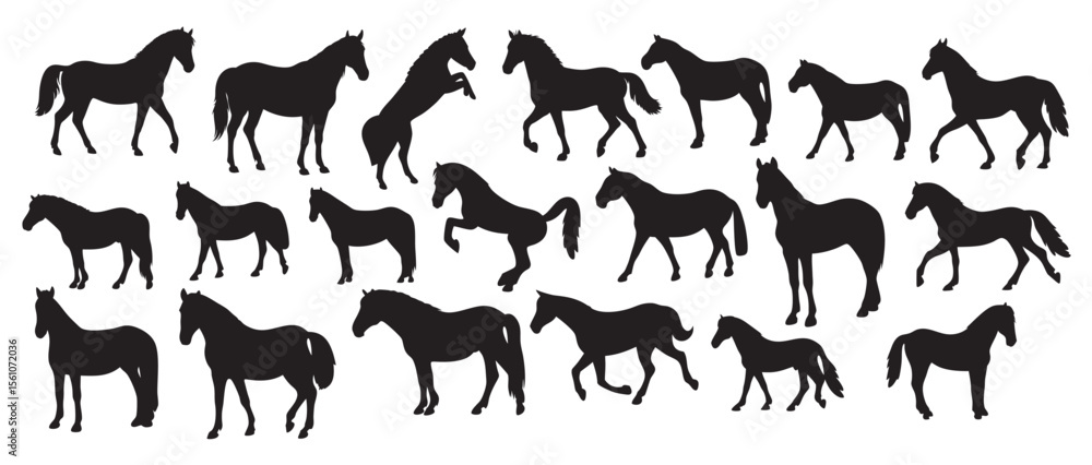 Dynamic Equine - Horse Silhouette Set Vector Collection with Various Horse Poses Dynamic Equine - Horse Silhouette Set Vector Collection with Various Horse Poses