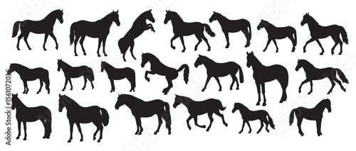 Dynamic Equine - Horse Silhouette Set Vector Collection with Various Horse Poses