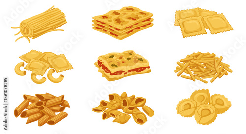 A selection of various types of pasta including lasagna penne tortellini and other shapes