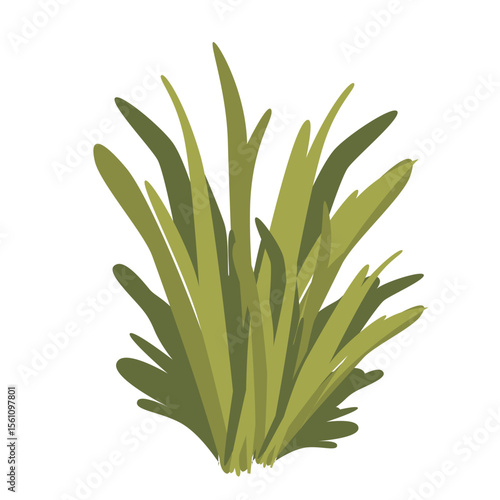 2D illustration of a dense spiky green plant with long leaves, perfect for garden decor, eco designs, or landscape scenes.