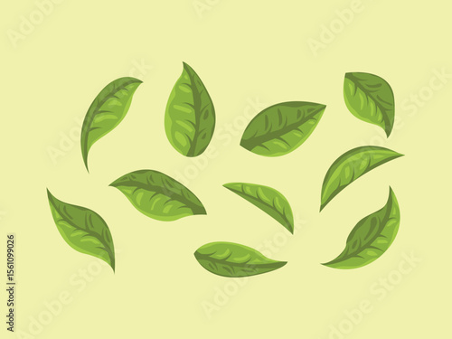 matcha set powder green tea japanese leaf ingredient powder element herb traditional cartoon icon
