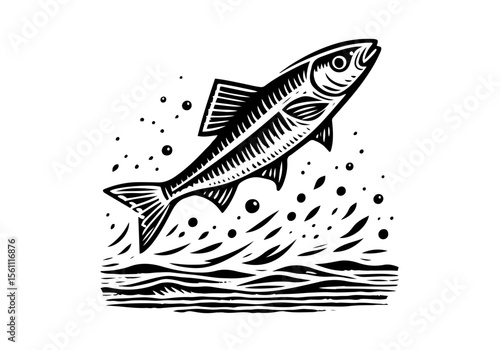 Minnow Fish Simple Hand Drawn Natural Illustration Stylized as Linocut Vector Isolated by AZ for Books, Arts, Design and Decoration Graphic Asset