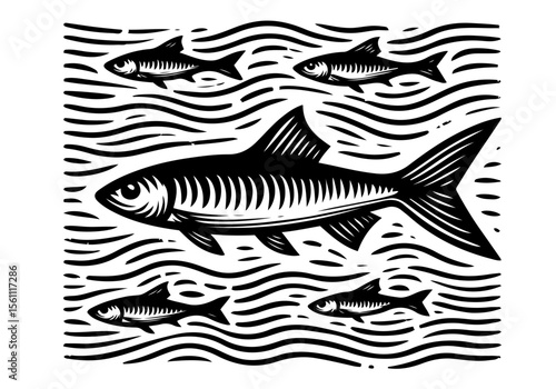 Minnow Fish Simple Hand Drawn Natural Illustration Stylized as Linocut Vector Isolated by AZ for Books, Arts, Design and Decoration Graphic Asset