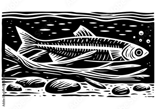 Minnow Fish Simple Hand Drawn Natural Illustration Stylized as Linocut Vector Isolated by AZ for Books, Arts, Design and Decoration Graphic Asset