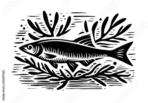 Minnow Fish Simple Hand Drawn Natural Illustration Stylized as Linocut Vector Isolated by AZ for Books, Arts, Design and Decoration Graphic Asset