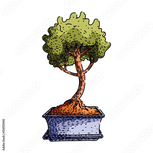 fertilizer bonzai tree sketch hand drawn vector