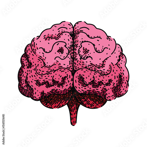 neuroplasticity brain sketch hand drawn vector