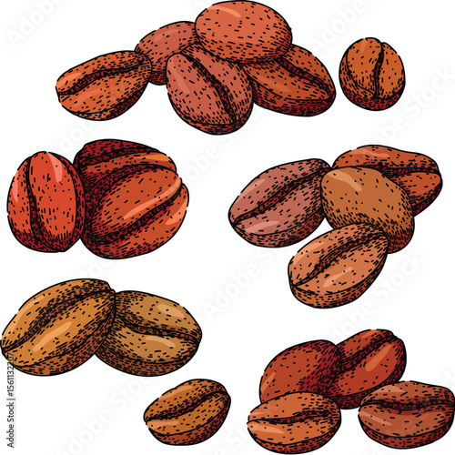 cofeee bean set sketch hand drawn vector