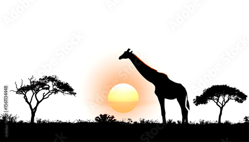 Contrasting Black Giraffe Silhouette Over Sunlit Grassy Savanna at Evening - Majestic Zoology Vector
