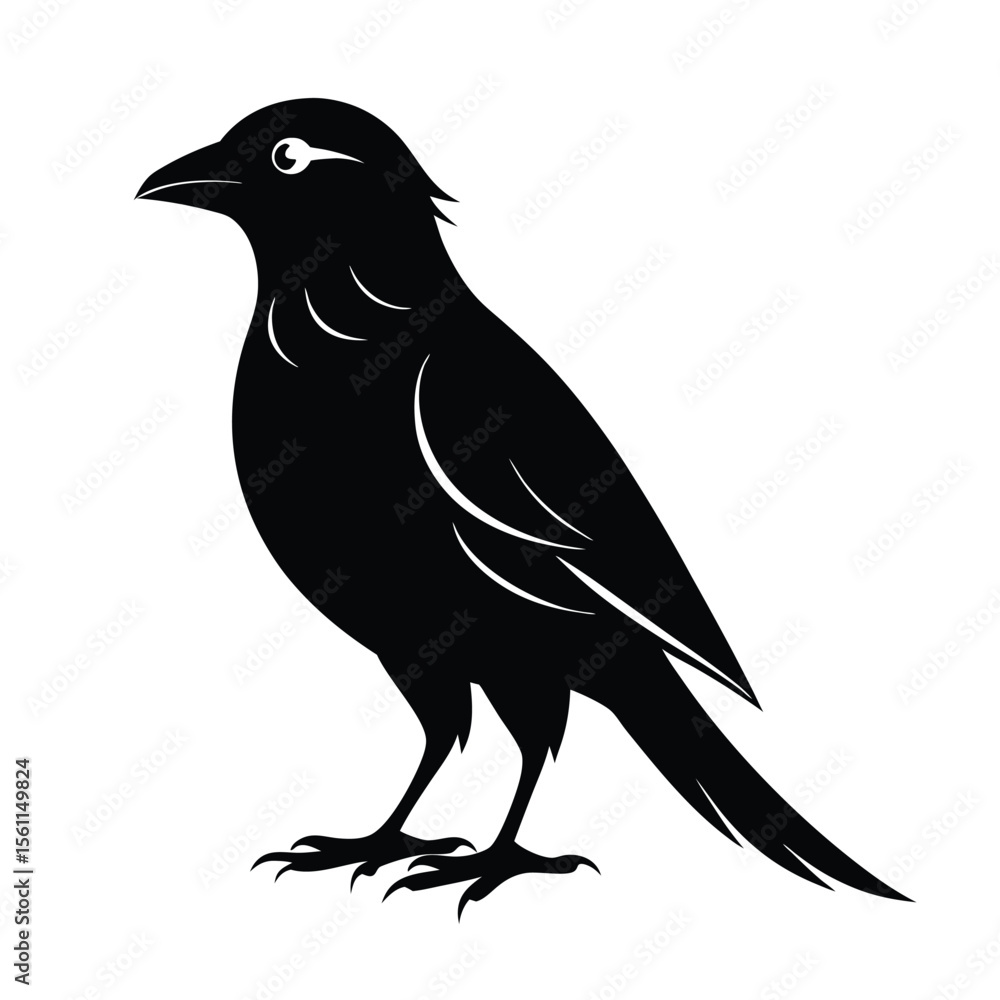 Fototapeta premium black bird vector design 