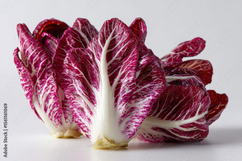 Venetian radicchio leaves on white studio setup Venetian radicchio leaves on white studio setup
