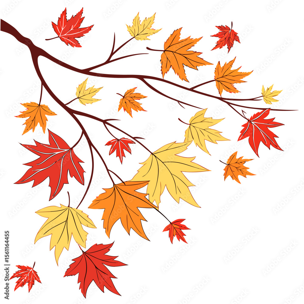 Illustration of autumn branch with colorful maple leaves in red orange and yellow on a white background Illustration of autumn branch with colorful maple leaves in red orange and yellow on a white background