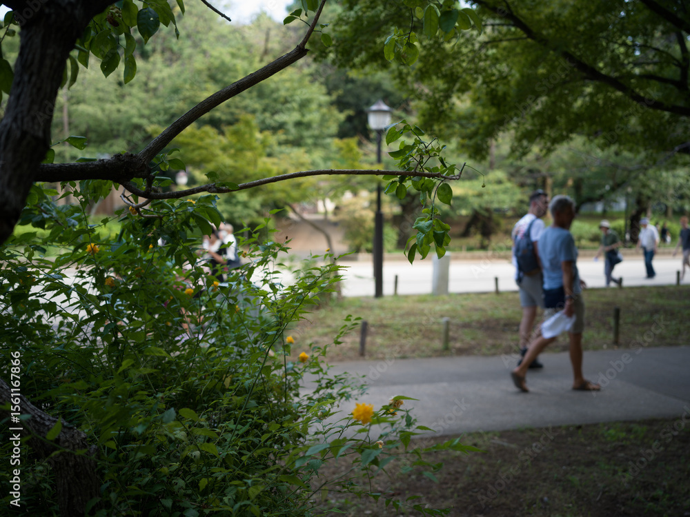Fototapeta premium 公園を散歩する外国人