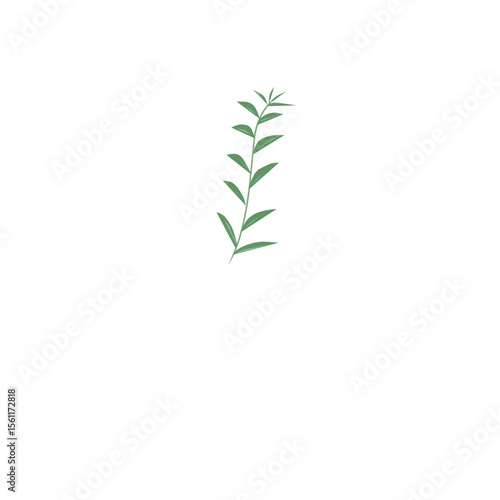 green leaves isolated on white background
