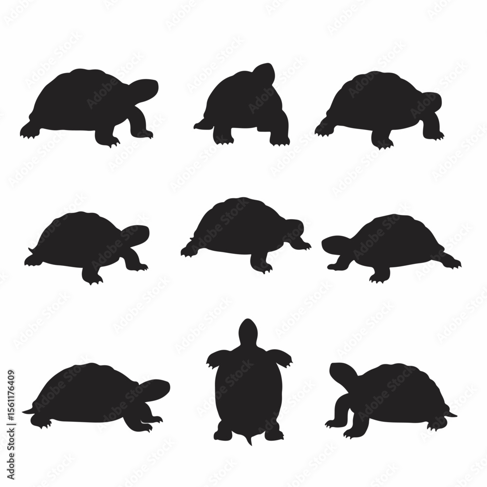 Fototapeta premium Set of Black Tortoise Silhouettes