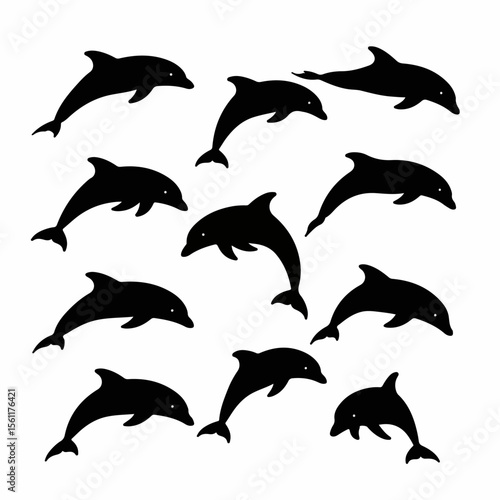 Black Dolphin Silhouettes Collection