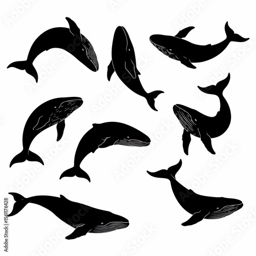 Whale Silhouettes Collection