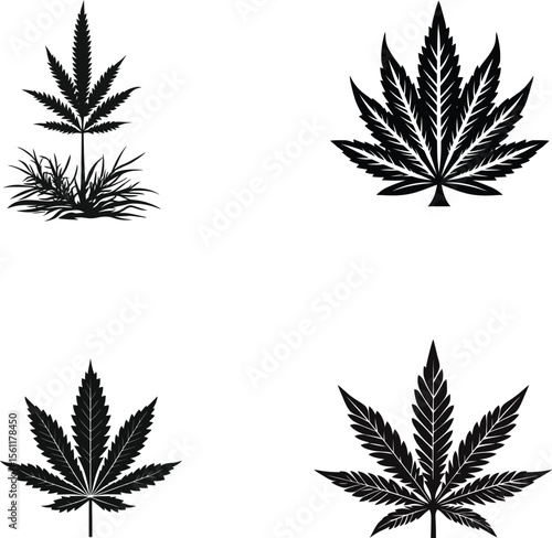 cannabis leaf vector illustration