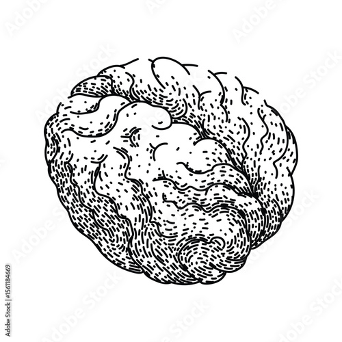 cognition brain sketch hand drawn vector