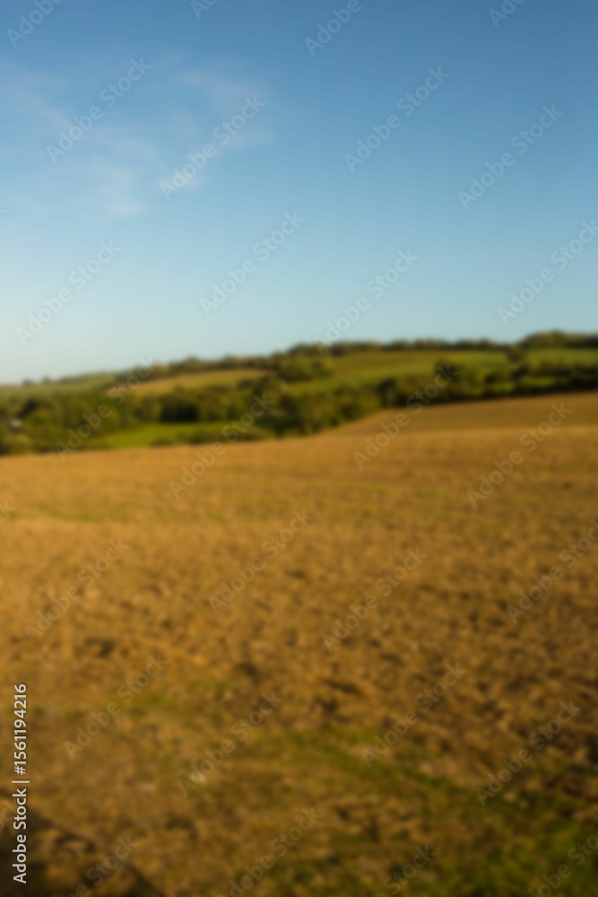 Obraz premium High angle view of field against blue sky