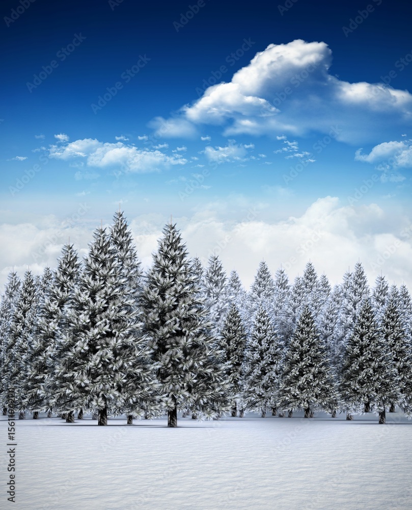 Fototapeta premium Fir tree forest in snowy landscape
