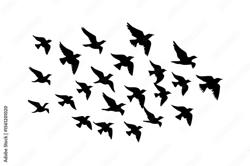 Fototapeta premium Flock of Birds Flying, Silhouette Against White Sky