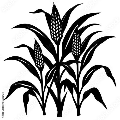 Corn Stalks  Vector Festive Holiday Symbols for Seasonal Design Projects