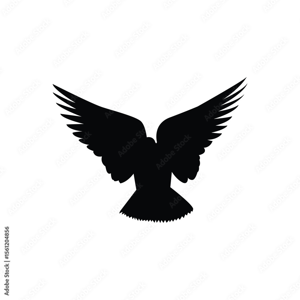 Fototapeta premium Pigeon landing