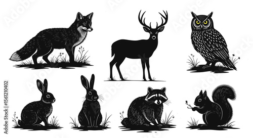 Seven woodland creatures including a fox, deer, owl, rabbits, raccoon, and squirrel illustration