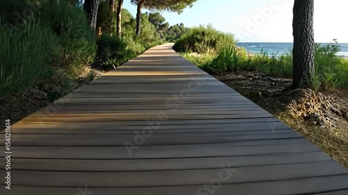 Generic description of the scene