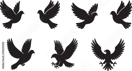 Silhouettes of flying pigeons and eagles representing concepts of freedom and peace and strength