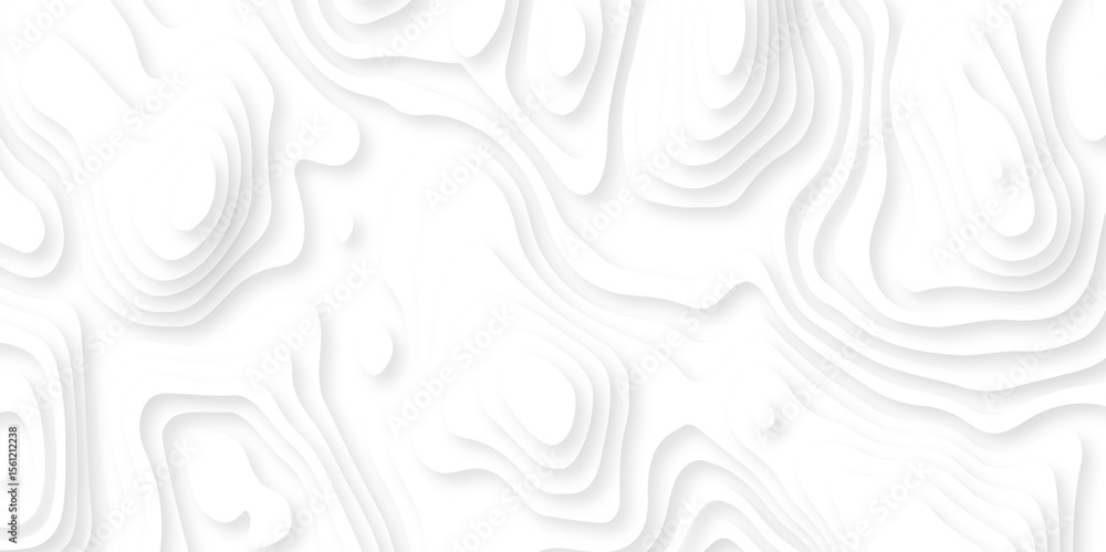 Papercut layers and paper cut topography vector art background banner texture. Abstract white paper cut background with realistic shapes. Modern vector illustration for concept design. Papercut layers and paper cut topography vector art background banner texture. Abstract white paper cut background with realistic shapes. Modern vector illustration for concept design.