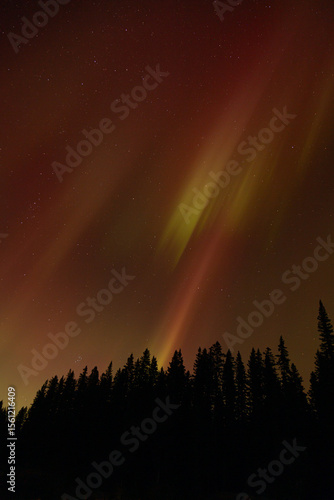 Spectacular displays of shimmering light from Aurora Borealis in the night sky. It was an amazing display of the Northern Lights