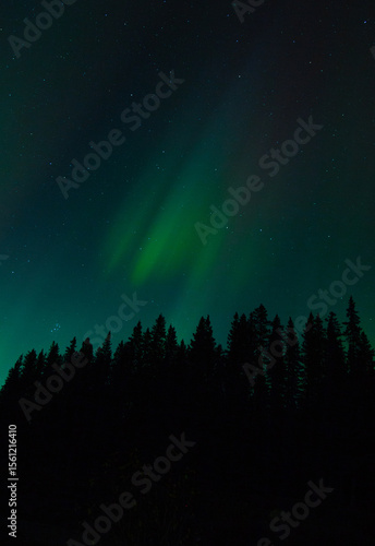 Spectacular displays of shimmering light from Aurora Borealis in the night sky. It was an amazing display of the Northern Lights