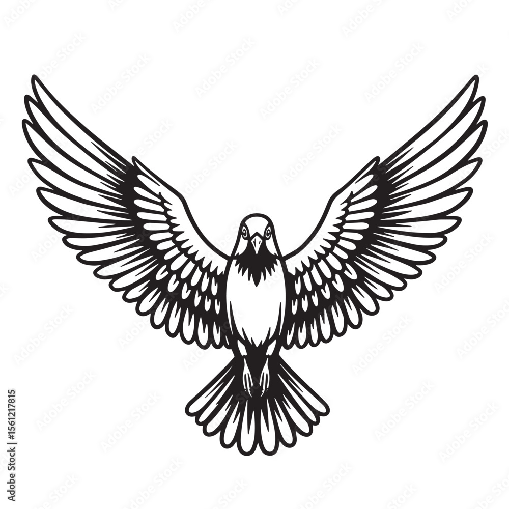 Fototapeta premium Vector illustration of a majestic dove with open wings in black and white